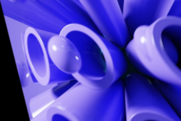 알파 존 모험 체험