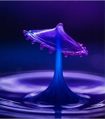 새로운 여정의 출발점